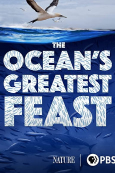Nature The Ocean's Greatest Feast