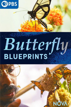 Nova Butterfly Blueprints