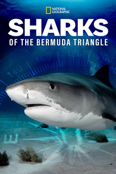 Sharks of the Bermuda Triangle (2020) download